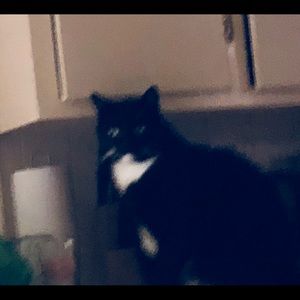 Meet your Posher, Noah